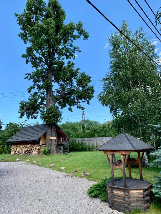 Gniazdko Pod Lipa Apartment Andrychów Exterior foto